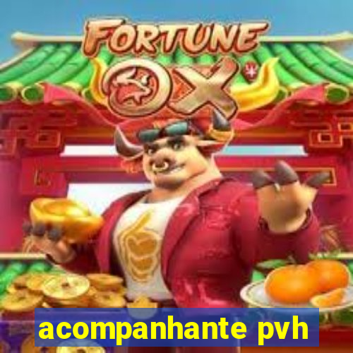 acompanhante pvh